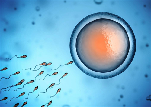 输卵管结扎能做试管婴儿吗-是可以的，同样拥有做妈妈的权利，成都做第三代